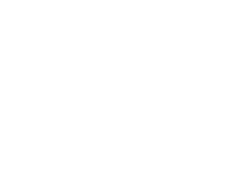 Controle de Treino Logo